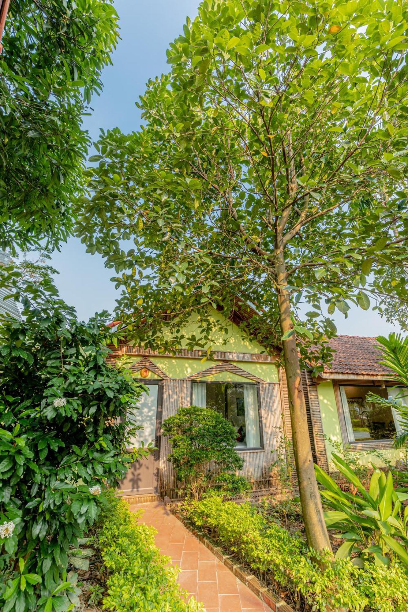 Tam Coc Green Garden Bungalow Ninh Binh Esterno foto