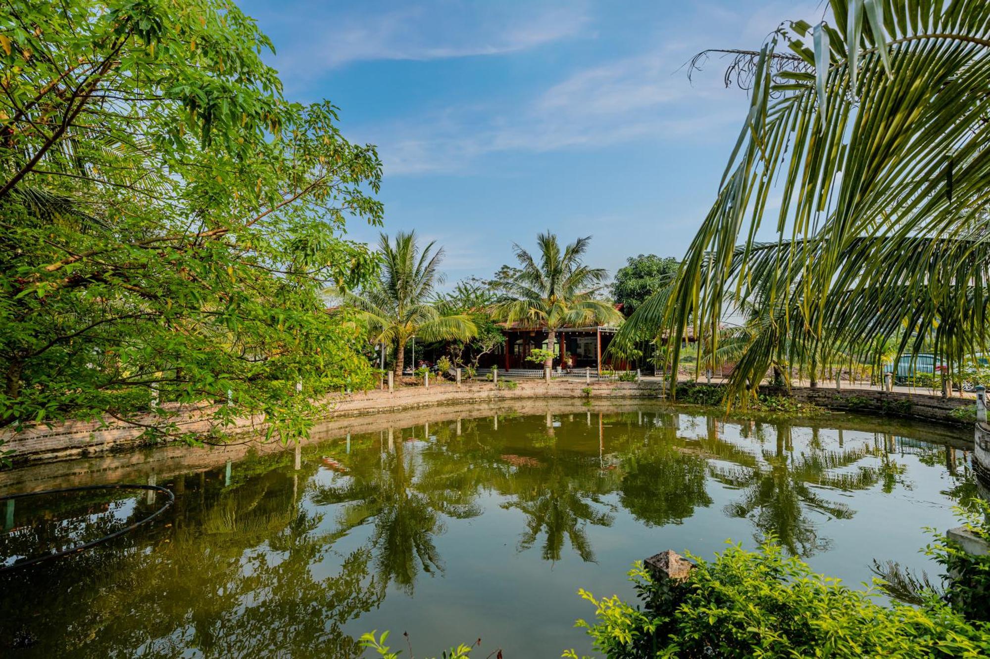 Tam Coc Green Garden Bungalow Ninh Binh Esterno foto