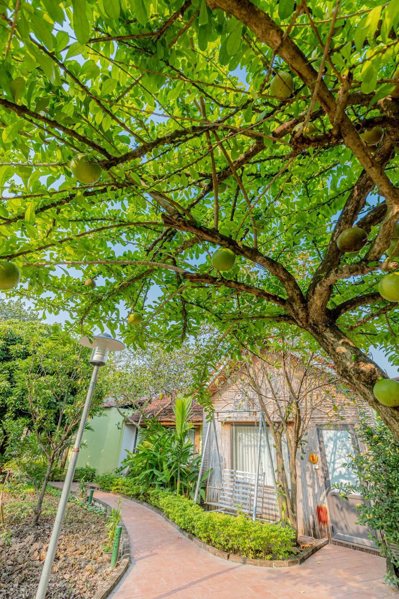Tam Coc Green Garden Bungalow Ninh Binh Esterno foto